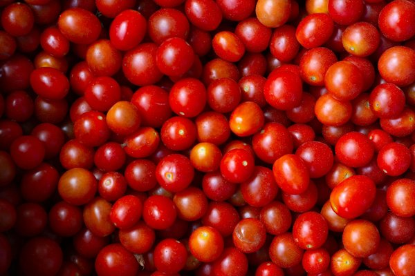 Crucial tactics for protecting food allergies in a high-energy restaurant kitchen